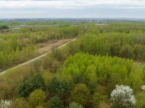 DW 869 "Lotniskowa" etap V