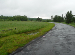 <h4 style="margin-left:0px; margin-right:0px; text-align:start"><span style="font-size:14px">Rządowy Fundusz Inwestycji Lokalnych (RFIL) to program, w ramach którego rządowe środki trafiają do gmin, powiatów i miast w całej Polsce na inwestycje bliskie ludziom. Wsparcie jest bezzwrotne i pochodzi z Funduszu Przeciwdziałania COVID-19. Nabór wniosków do pierwszego etapu trwał do 30 września 2020 roku.  </span></h4>

<h4 style="margin-left:0px; margin-right:0px; text-align:start"><span style="font-size:14px">W ramach programu Podkarpacki Zarząd Dróg Wojewódzkich aktualnie realizuje projekt pn. "Likwidacja szkód powodziowych na drogach wojewódzkich Nr 835, 881, 884, 991, 992, 988, 990, 989, 993, 864, 865, 878, 866, 867, 877, 886, 887, 889, 897, 890, 896, 895, 894, 892, 893 oraz obiektach mostowych i kładkach, polegająca na: przebudowie uszkodzonych nawierzchni, systemów odwodnienia, poboczy i skarp, umocnieniu brzegów oraz uszkodzonych przyczółków i stożków".</span></h4>

<h4 style="margin-left:0px; margin-right:0px; text-align:start"><span style="font-size:14px"><strong>Przyznane wsparcie przez Prezesa Rady Ministrów: </strong>100 000 000,00 zł</span></h4>

<h4 style="margin-left:0px; margin-right:0px; text-align:start"><span style="font-size:14px"><strong>Szacowany koszt inwestycji wg Województwa Podkarpackiego: </strong>114 479 000,00 zł</span></h4>

<p><span style="font-size:14px">Okres realizacji: 2021 - 2022</span></p>
